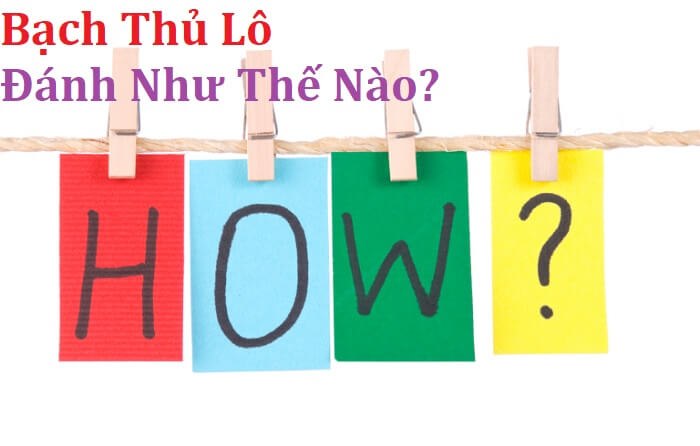 bach thu lo danh nhu the nao