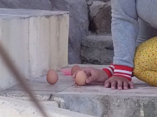 cách xin số đề bằng trứng gà có đúng không?